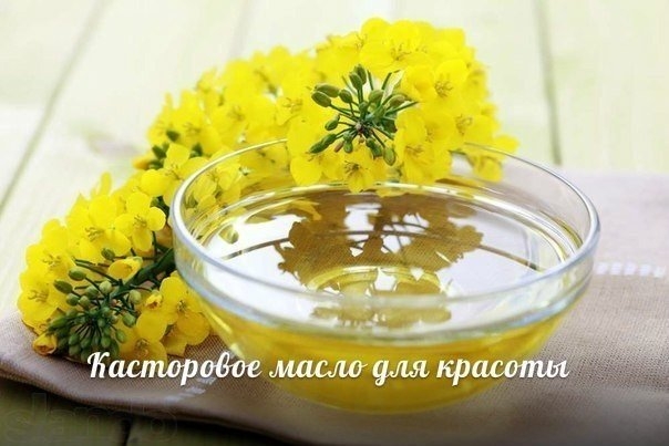 Касторовое масло для красоты Касторовое масло для красоты