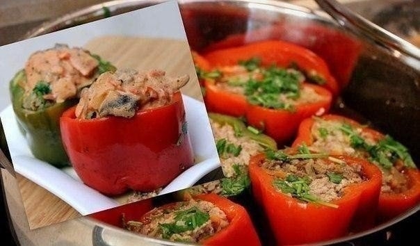 Фаршированные перцы под соусом из белых грибов Фаршированные перцы под соусом из белых грибов
