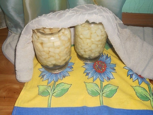 Дыня на зиму в сахарном сиропе с ванилином