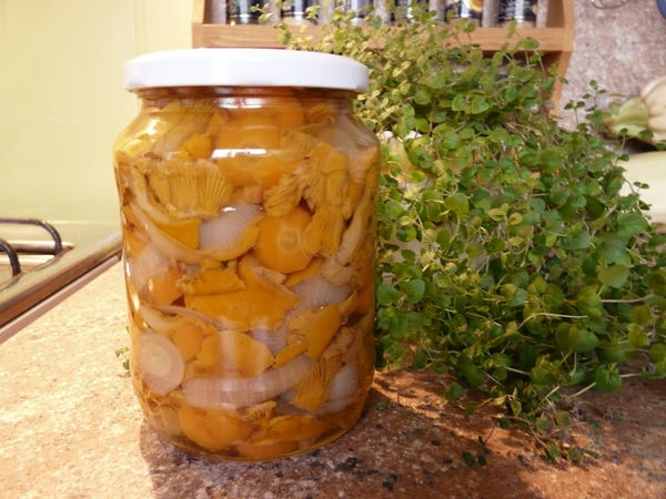 Маринованные лисички с луком и морковью