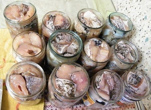 9 хороших рецептов консервирования рыбы