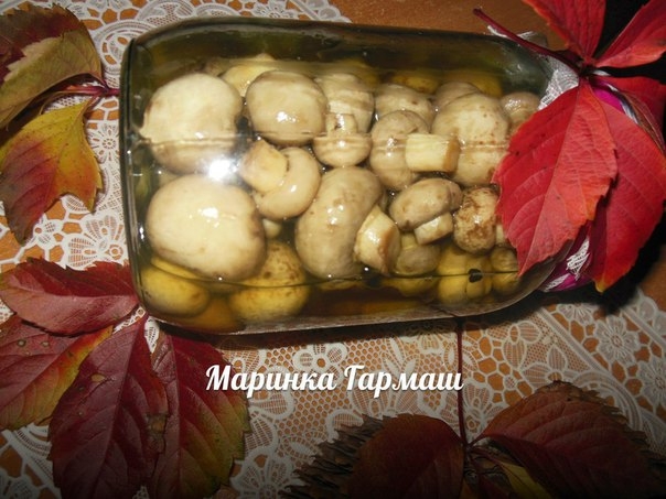 Маринованные шампиньоны"2 часа"... Маринованные шампиньоны"2 часа"...