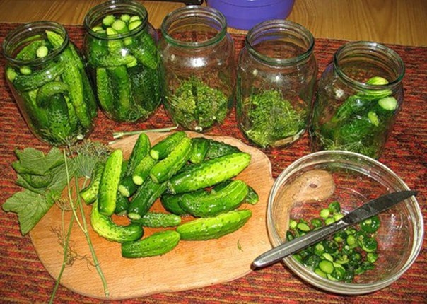 Крепенькие остро-сладкие ОГУРЦЫ "Аля Верес"