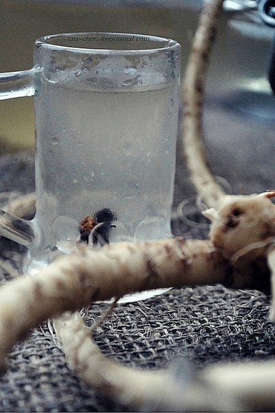 БЕЛОРУССКИЙ))) АЛКОГОЛЬНЫЙ.