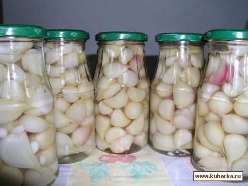 Солёный чеснок на зиму