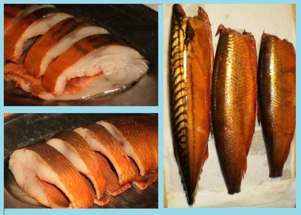 Скумбрия и сельдь домашнего приготовления Скумбрия и сельдь домашнего приготовления