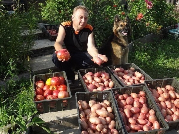 4 ВИДА ПОДКОРМОК ИГОРЯ ЛЯДОВА. 4 ВИДА ПОДКОРМОК ИГОРЯ ЛЯДОВА.