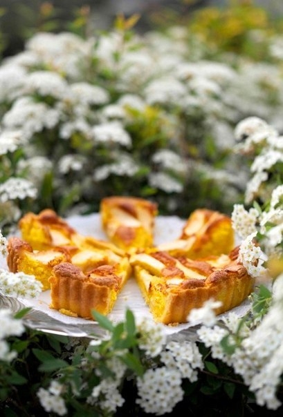 Нежнейший пирог с рикоттой Нежнейший пирог с рикоттой