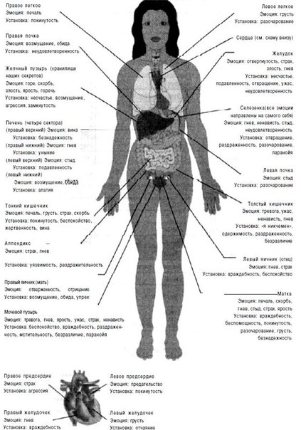 КАК ТЕЛО ВЗЫВАЕТ О ПОМОЩИ КАК ТЕЛО ВЗЫВАЕТ О ПОМОЩИ