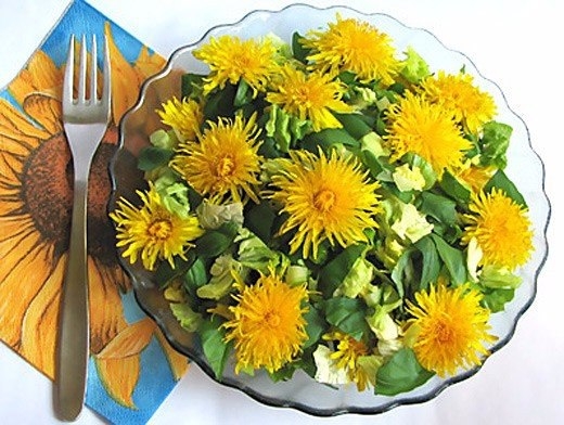 БЛЮДА ИЗ ОДУВАНЧИКОВ