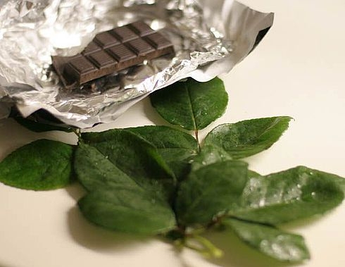 Шоколадные листочки для украшения выпечки и десертов