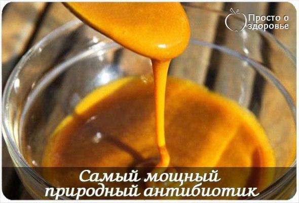 САМЫЙ МОЩНЫЙ ПРИРОДНЫЙ АНТИБИОТИК ИЗ 2 ИНГРЕДИЕНТОВ! САМЫЙ МОЩНЫЙ ПРИРОДНЫЙ АНТИБИОТИК ИЗ 2 ИНГРЕДИЕНТОВ!