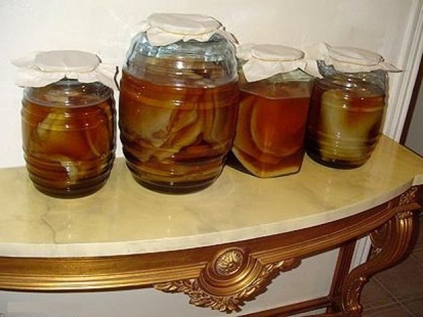 Как вырастить чайный гриб самому?