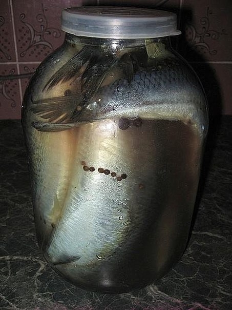 Солим рыбку!