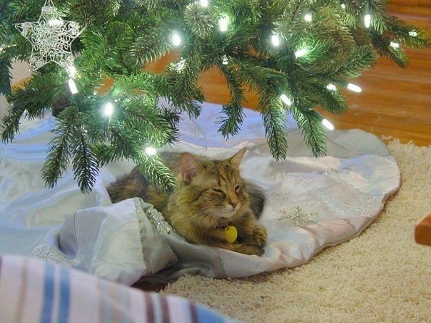 Праздник приближается!