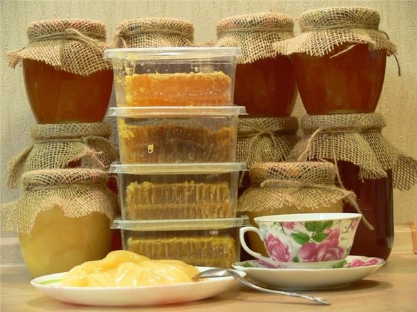 ЛИПОВЫЙ МЁД И ЕГО СЕКРЕТ