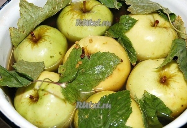 Как приготовить моченые яблоки от Татьяны Латышевой