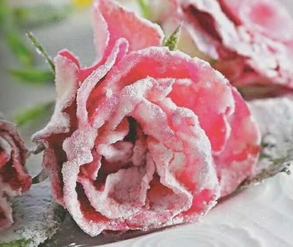 УКРАШАЕМ СЛАДКИЙ СТОЛ ЗАСАХАРЕННЫМИ ЦВЕТАМИ УКРАШАЕМ СЛАДКИЙ СТОЛ ЗАСАХАРЕННЫМИ ЦВЕТАМИ