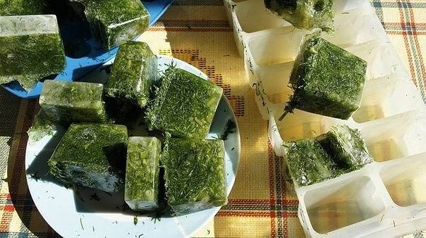 Заготавливаем укроп на зиму