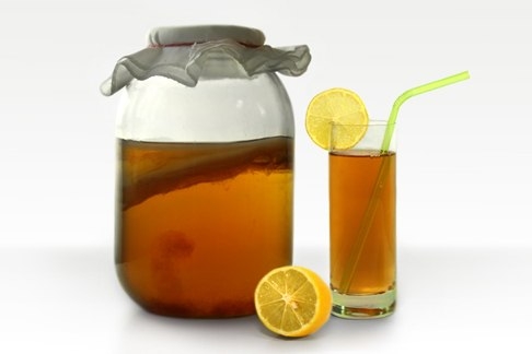 ЧАЙНЫЙ ГРИБ - полезные свойства.