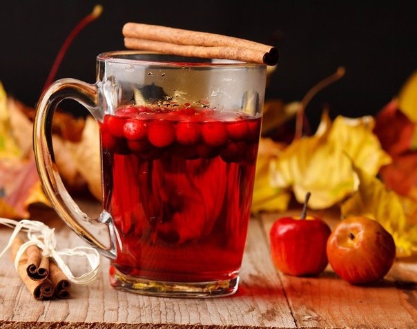 ТОП-8 СОГРЕВАЮЩИХ НАПИТКОВ В ХОЛОДНУЮ ПОГОДУ