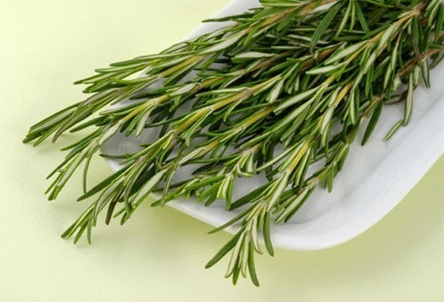 Розмарин - в каких блюдах его лучше использовать.