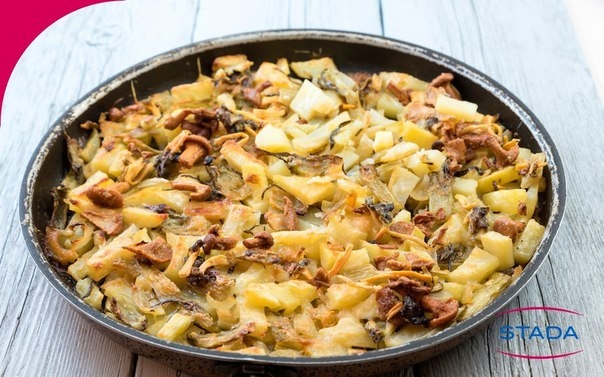 Календарь грибника гласит: «В осенний период продолжают расти многие летние грибы. В то же время в м