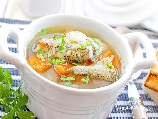 История блюда: Уха