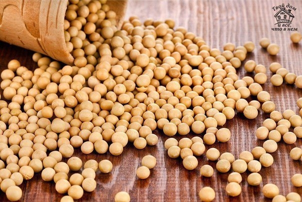 Эти 6 продуктов способны предотвратить рак молочной железы!