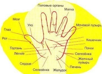 Как определить болезни по ладони