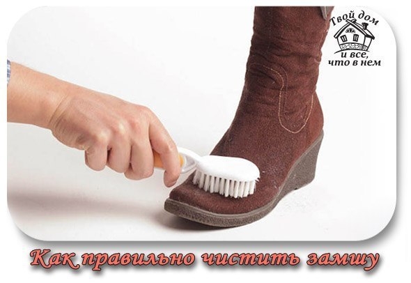 Как правильно чистить замшу