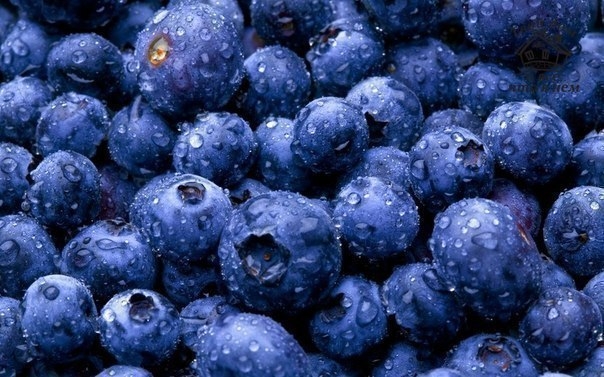 ТОП 10 Самых полезных продуктов для продления жизни.