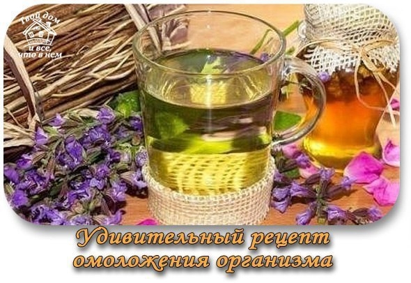 Удивительный рецепт омоложения организма