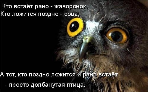 6 особенностей питания для &laquo;сов&raquo; и &laquo;жаворонков&raquo;