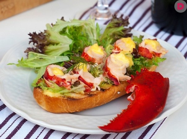 РЕЦЕПТ ТОСТА С ОМАРОМ И ДОМАШНИМ МАЙОНЕЗОМ РЕЦЕПТ ТОСТА С ОМАРОМ И ДОМАШНИМ МАЙОНЕЗОМ