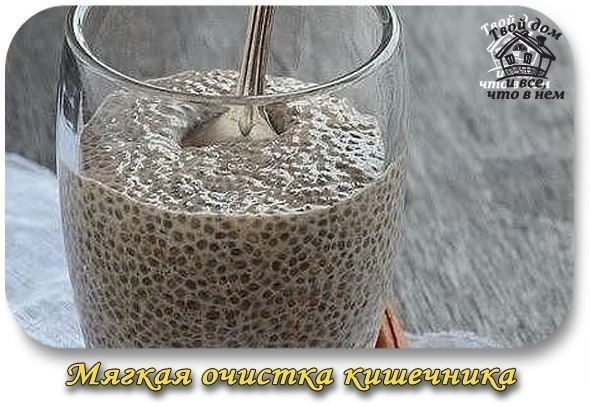 Мягкая очистка кишечника Мягкая очистка кишечника