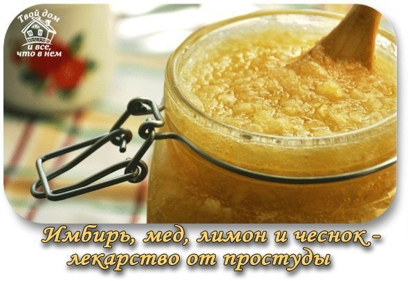 Имбирь, мед, лимон и чеснок — домашнее лекарство, избавляющее от простуды Имбирь, мед, лимон и чеснок — домашнее лекарство, избавляющее от простуды