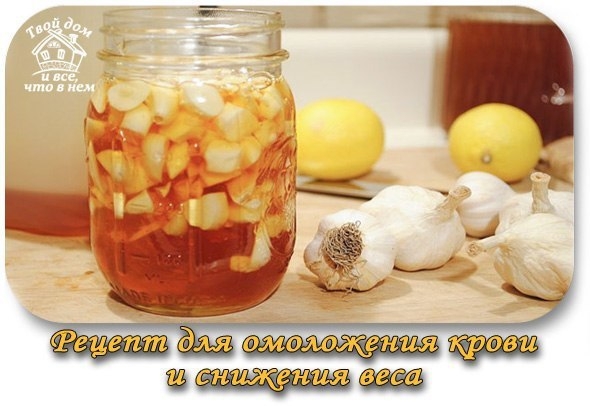 Рецепт для омоложения крови и снижения веса у тучных людей с вялым организмом. Рецепт для омоложения крови и снижения веса у тучных людей с вялым организмом.
