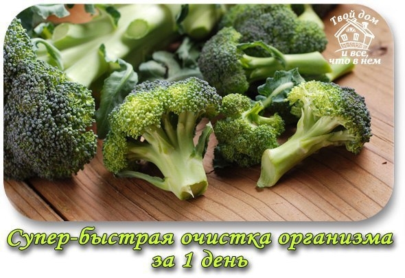 Супер-быстрая очистка организма за 1 день!