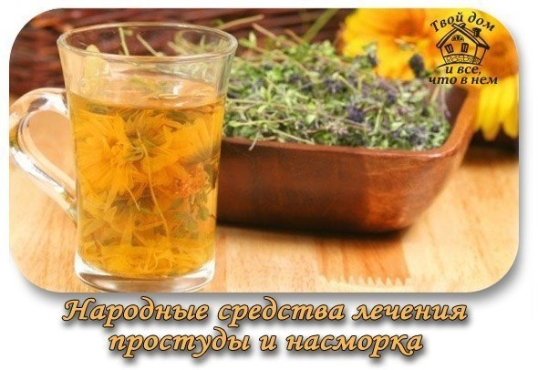 Простуда, насморк.Народные средства лечения.