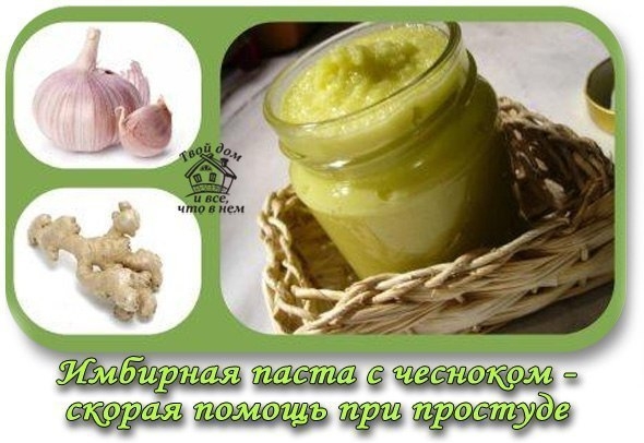 Имбирная паста с чесноком &mdash; скорая помощь при простуде
