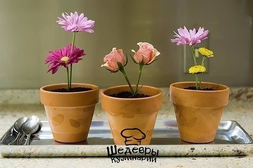 ОРИГИНАЛЬНЫЙ ДЕСЕРТ "ЦВЕТЫ В ГОРШОЧКЕ"