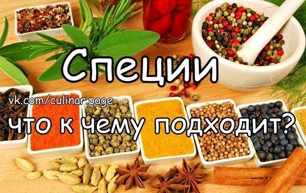 Специи - что к чему подходит?