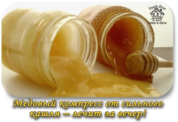 МЕДОВЫЙ КОМПРЕСС ОТ СИЛЬНОГО КАШЛЯ &ndash; ЛЕЧИТ ЗА ВЕЧЕР!