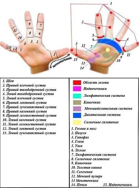 АКУПУНКТУРА ДЛЯ ДЕТЕЙ