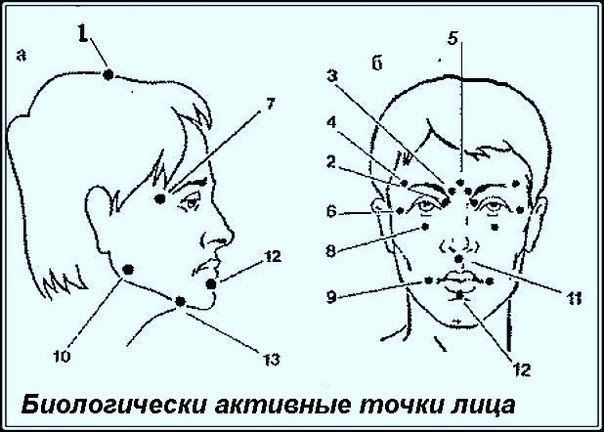 Биологически активные точки на голове — ваша скорая помощь !