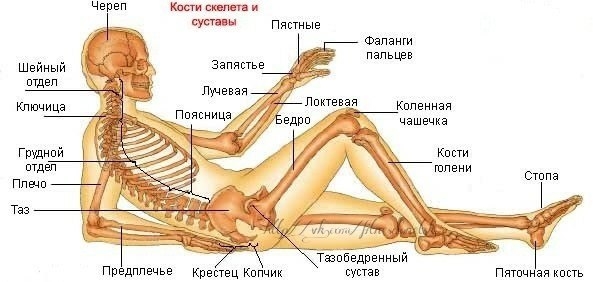 Почему хрустят суставы. Что мы должны об этом знать?