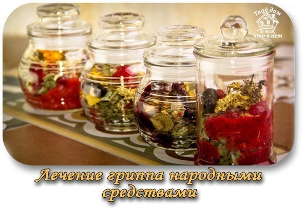 Лечение гриппа народными средствами