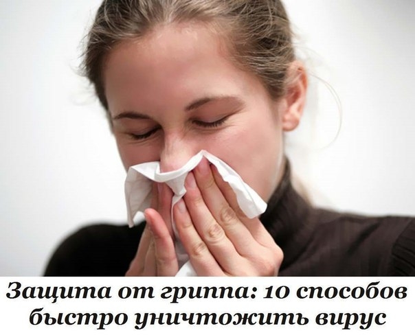 Защита от гриппа: 10 способов быстро уничтожить вирус Защита от гриппа: 10 способов быстро уничтожить вирус