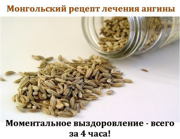 Монгольский рецепт лечения ангины. Монгольский рецепт лечения ангины.